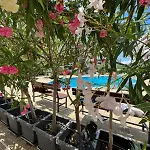 Sea Club & Grant - Flamingo Terrace - Апартаменты Свети-Влас