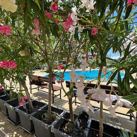 Sea Club & Grant - Flamingo Terrace - Appartamento Sveti Vlas